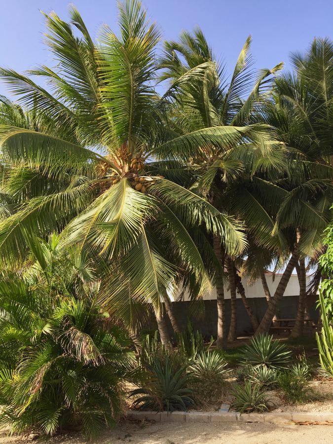 Bubali Gardens Daire Palm Beach Dış mekan fotoğraf